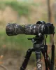Canon RF 100-500mm F4.5-7.1 L IS USM Lens Cover (Jungle camouflage # 20) Canon RF 100-500mm F4.5-7.1 L IS USM Lens Cover (Jungle camouflage # 20)