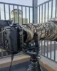 Nikon Z600mm F/4 TC VR S Lens Cover (Green jungle camouflage) Nikon Z600mm F/4 TC VR S Lens Cover (Green jungle camouflage)