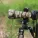 GF 500mm